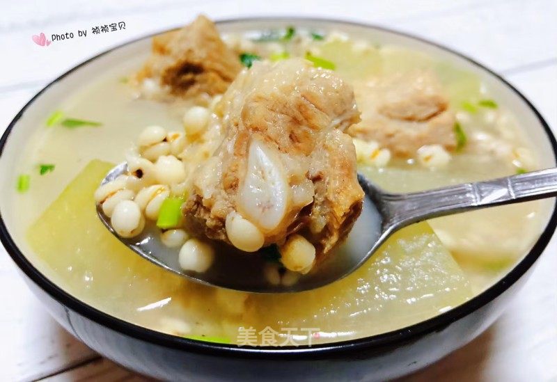 冬瓜薏米排骨汤的做法_冬瓜薏米排骨汤怎么做_祯祯宝贝的菜谱_美食天下