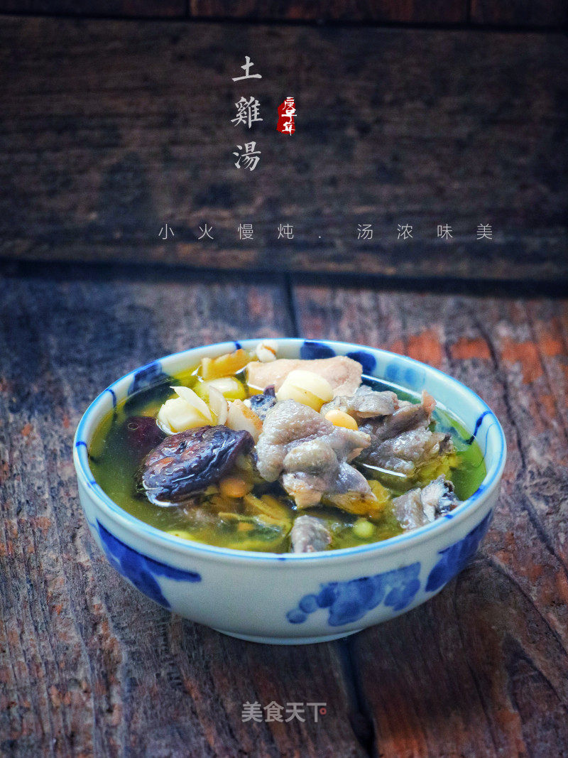 土鸡汤的做法_土鸡汤怎么做_沙儿飞飞❉的菜谱_美食天下