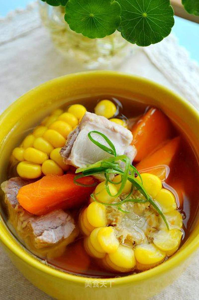 田园排骨汤的做法_田园排骨汤怎么做_如莲静心的菜谱_美食天下
