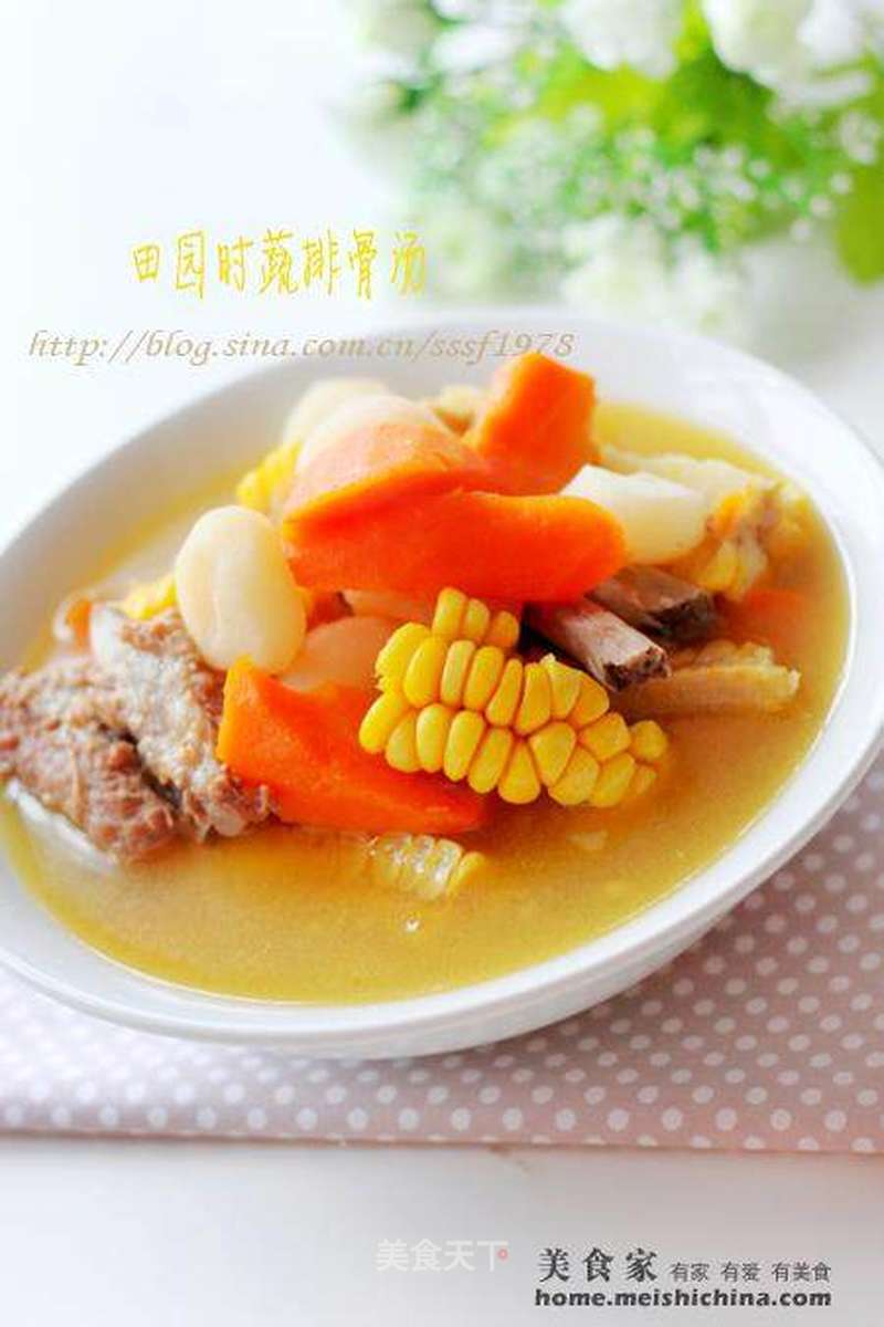 时蔬排骨汤的做法_田园时蔬排骨汤_时蔬排骨汤怎么做_菜谱_美食天下