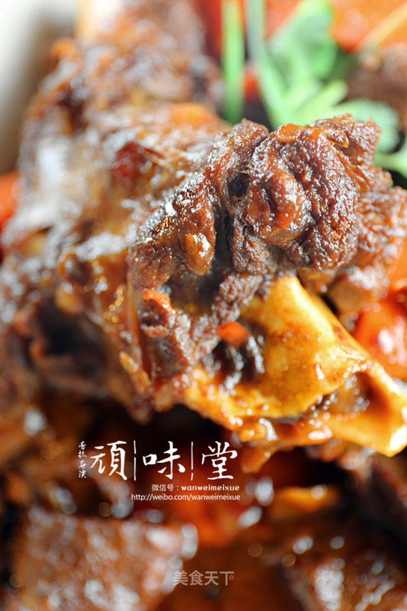 红焖羊肉的做法_红焖羊肉怎么做_遗忘↘蕾拉●的菜谱_美食天下