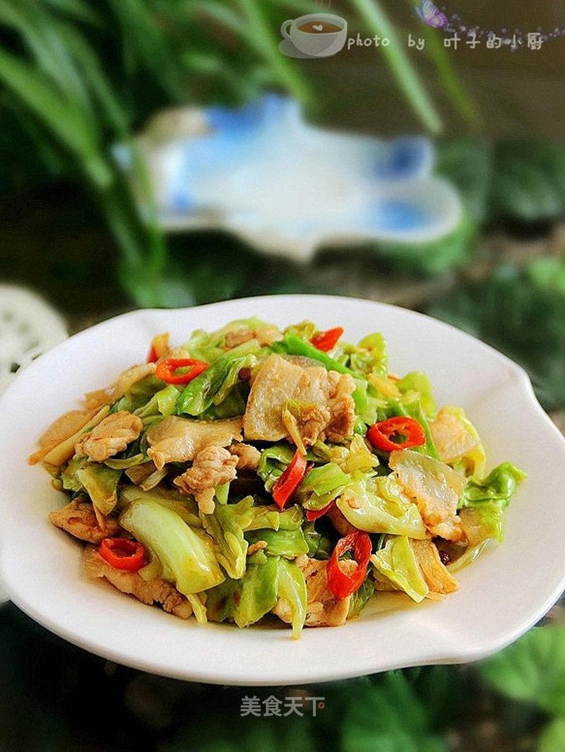 手撕包菜的做法_手撕包菜怎么做_叶子的小厨的菜谱_美食天下