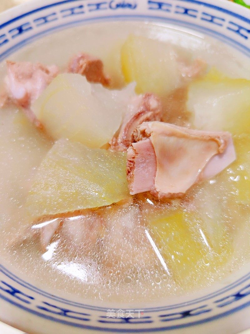 冬瓜排骨汤的做法_冬瓜排骨汤怎么做_芊芊_DOkzbcaviraI的菜谱_美食天下