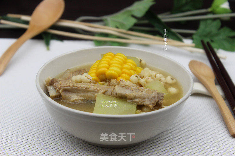 冬瓜排骨汤的做法_冬瓜排骨汤怎么做_sourcehe的菜谱_美食天下