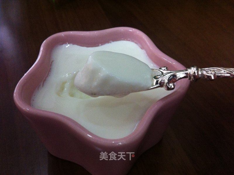 自制酸奶的做法_自制酸奶(面包机版)_自制酸奶怎么做_ゞ╃凃鴉的菜谱_美食天下