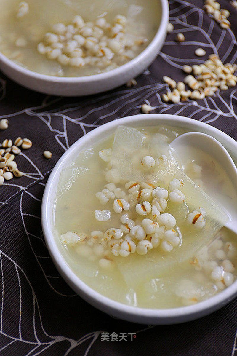 冬瓜薏仁汤的做法_冬瓜薏仁汤怎么做_遗忘↘蕾拉●的菜谱_美食天下