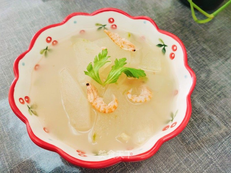 鳞虾冬瓜汤的做法_鳞虾冬瓜汤怎么做_筠旸JY的菜谱_美食天下
