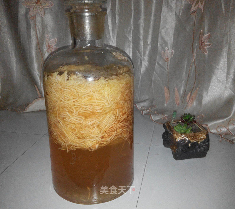 苹果醋的做法_苹果醋怎么做_云影儿的菜谱_美食天下