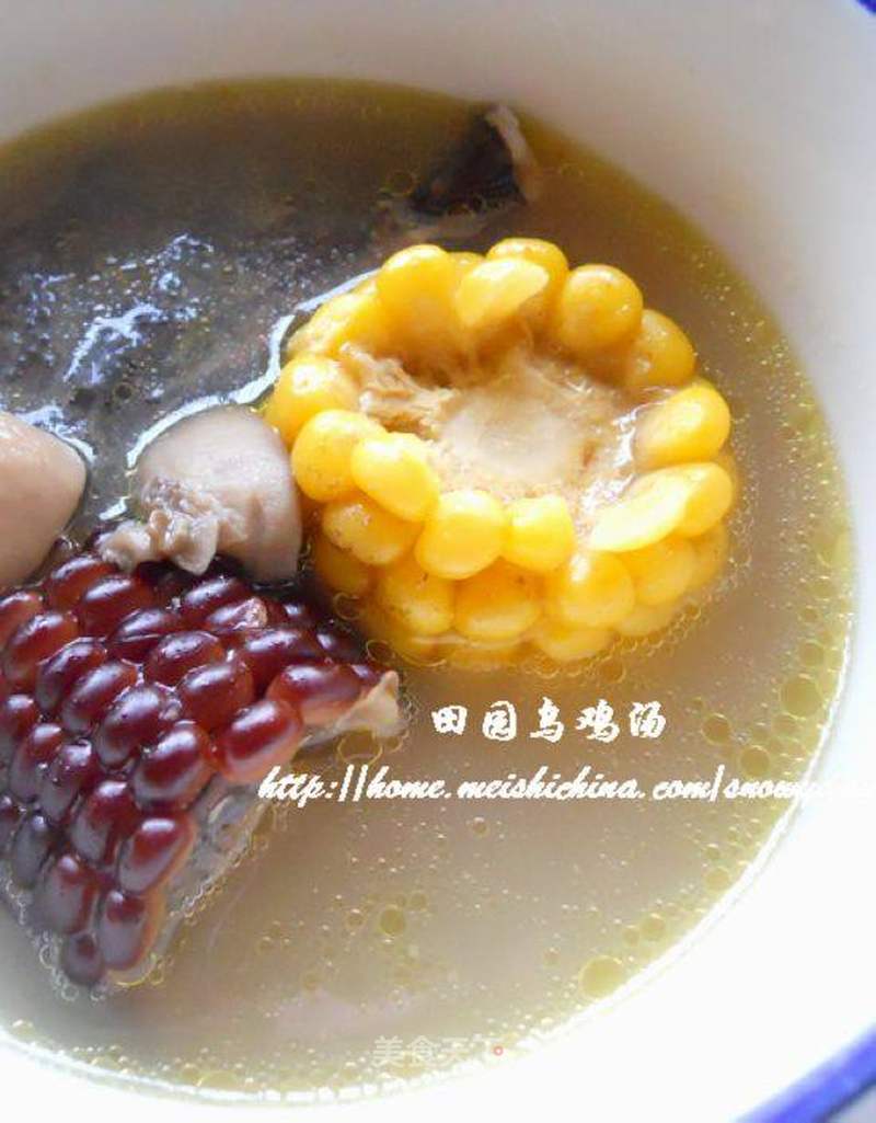 田园乌鸡汤的做法_田园乌鸡汤怎么做_菜谱_美食天下