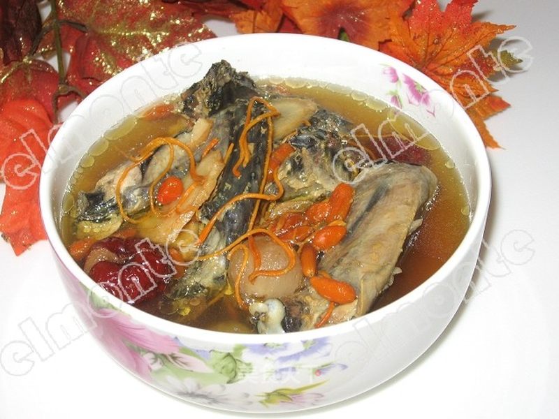 花旗参虫草花乌鸡汤的做法_花旗参虫草花乌鸡汤怎么做_菜谱_美食天下