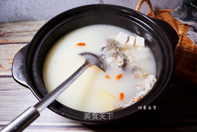 豆腐鲫鱼汤的做法_豆腐鲫鱼汤㊙️(汤奶白有技巧)鲜美营养清炖鱼汤_豆腐鲫鱼汤怎么做_阳春白雪!的菜谱_美食天下