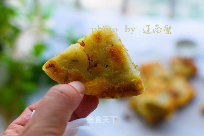 千层肉饼的做法_千层肉饼怎么做_辽南蟹的菜谱_美食天下