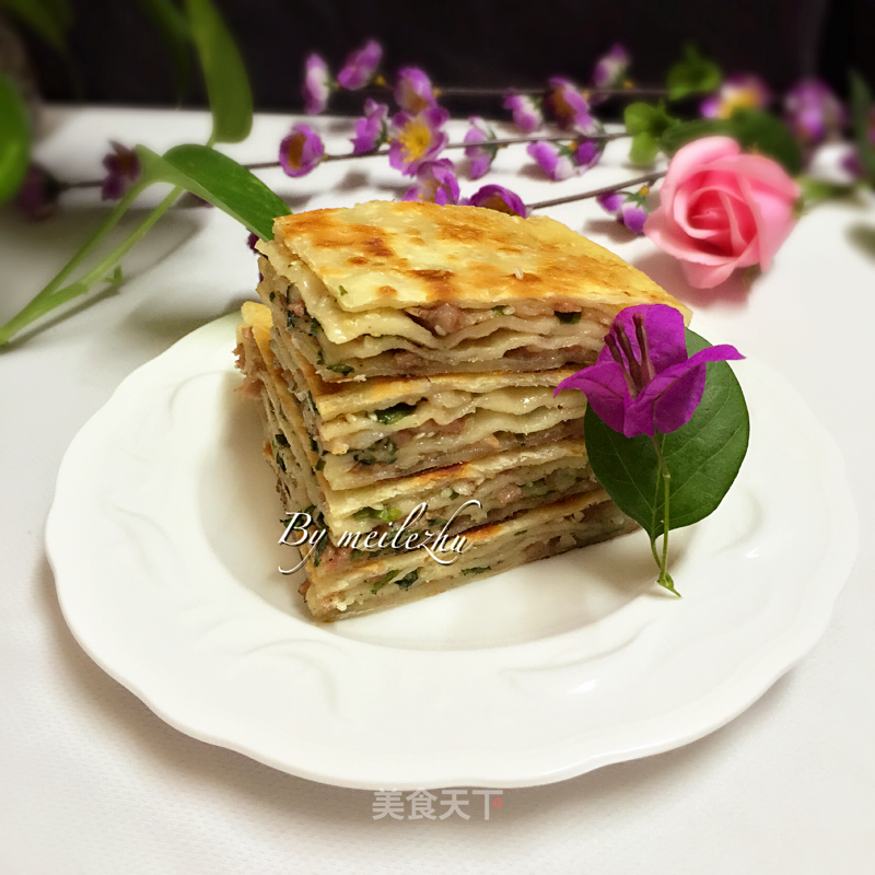 千层肉饼的做法_千层肉饼怎么做_美乐猪的菜谱_美食天下