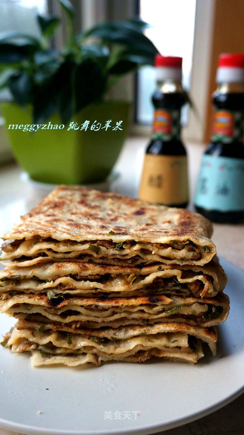 千层牛肉饼的做法_千层牛肉饼怎么做_Meggy跳舞的苹果的菜谱_美食天下
