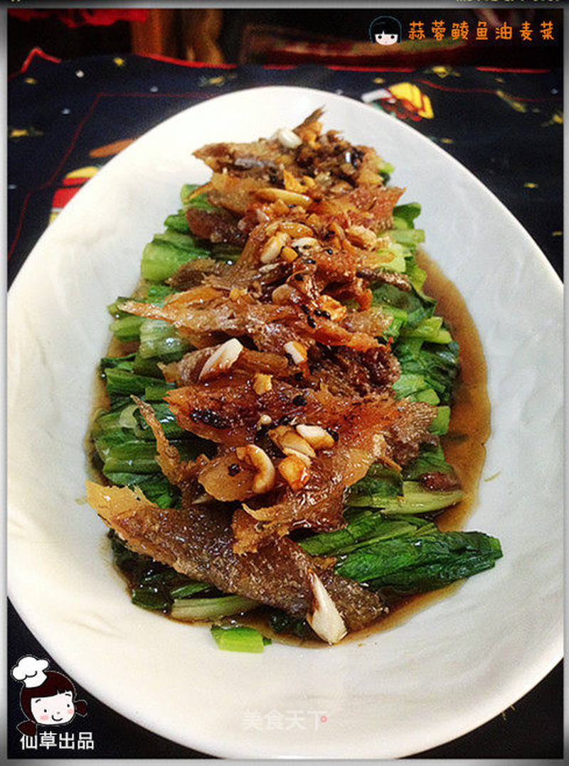 蒜蓉鲮鱼油麦菜的做法_仙草阁私房菜(蔬菜大棚)–蔬菜也要有滋味(蒜蓉鲮鱼油麦菜)_蒜蓉鲮鱼油麦菜怎么做_绛姝仙草的菜谱_美食天下