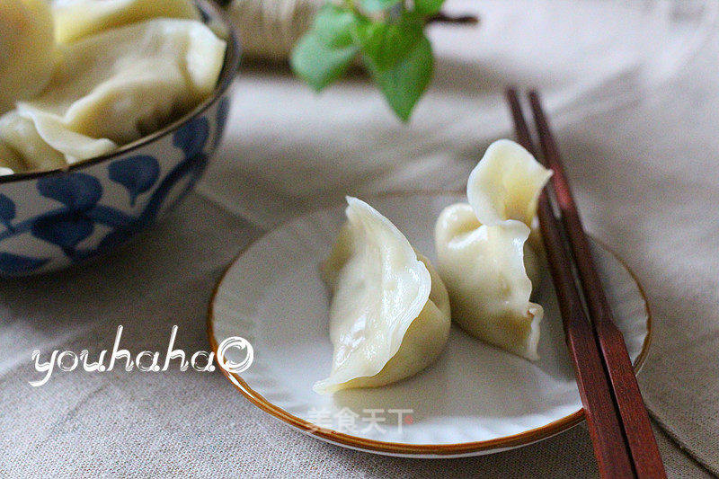 瓠瓜饺子的做法_瓠瓜饺子怎么做_悠哈厨房的菜谱_美食天下