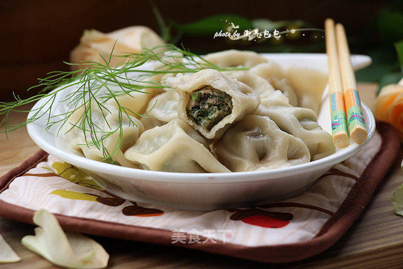 茴香猪肉饺的做法_冬至到,吃饺子【茴香猪肉饺】_茴香猪肉饺怎么做_淘气包包的菜谱_美食天下