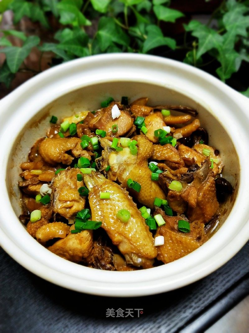 茶树菇炖鸡的做法_茶树菇炖鸡怎么做_宸·羽的菜谱_美食天下