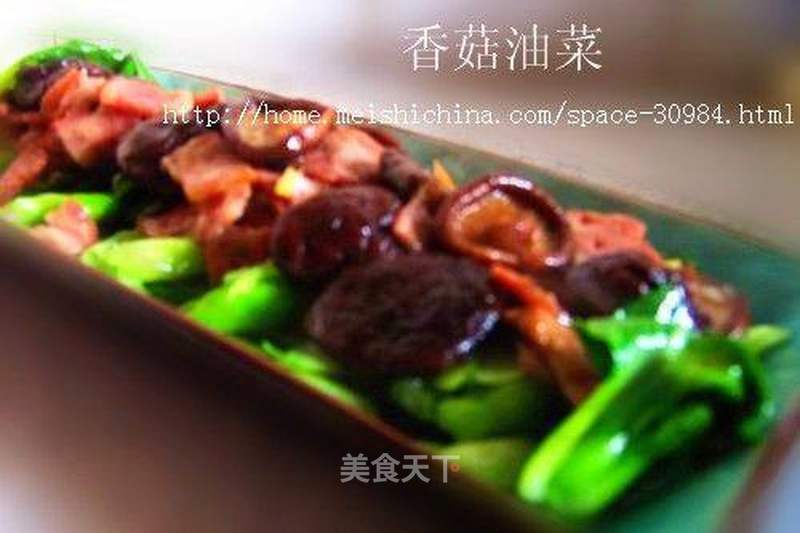 香菇油菜的做法_香菇油菜怎么做_菜谱_美食天下