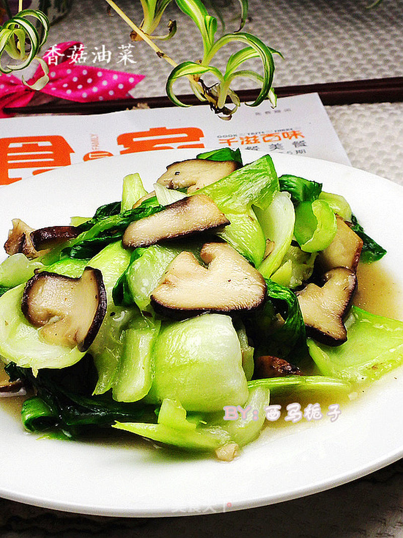 香菇油菜的做法_简单实惠的清脂美容菜—香菇油菜_香菇油菜怎么做_菜谱_美食天下