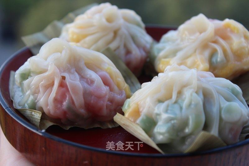炫彩素汤包的做法_没有肉皮冻也能搞定——炫彩素汤包_炫彩素汤包怎么做_小菜一碟的家的菜谱_美食天下