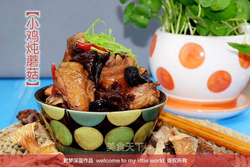 小鸡炖蘑菇的做法_【解密舌尖美味】#相逢#–小鸡炖蘑菇　_小鸡炖蘑菇怎么做_君梦深蓝的菜谱_美食天下