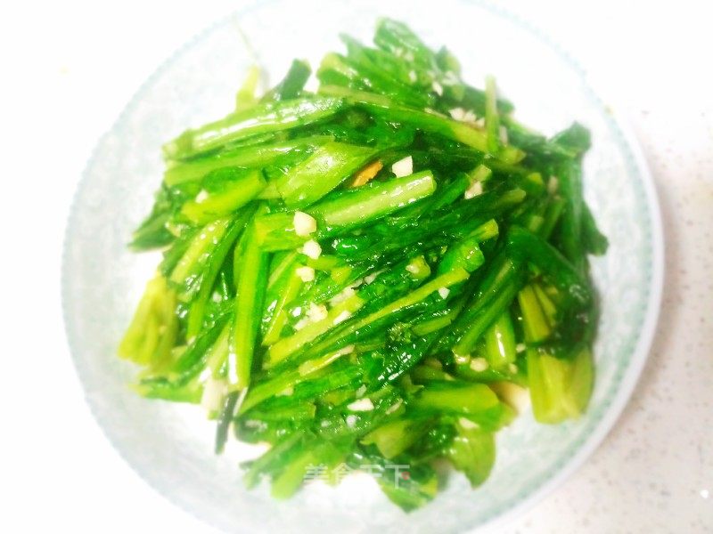 蒜蓉油麦菜的做法_蒜蓉油麦菜怎么做_能吃是福🥗的菜谱_美食天下
